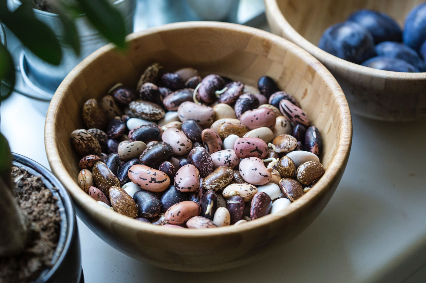 Everything you need to know about beans are here