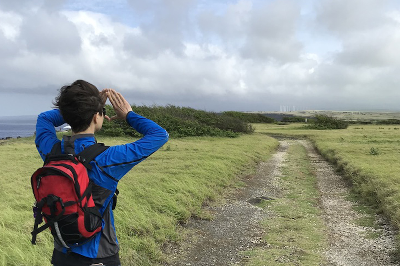 最佳的徒步旅行和露营植物食谱