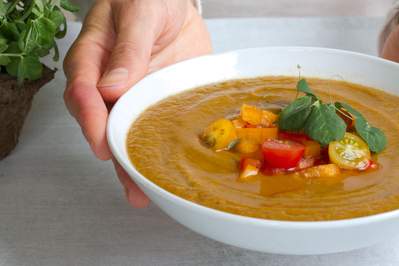 easy vegan winter soup recipes